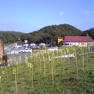 道の駅 羽鳥湖高原