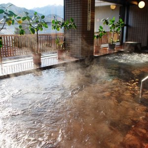 道の駅 両神温泉薬師の湯