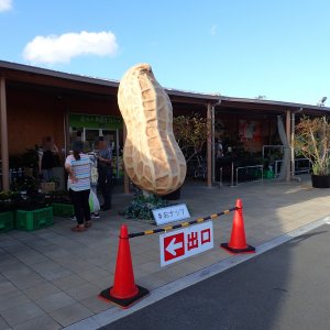 道の駅 木更津 うまくたの里