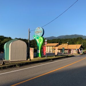 道の駅 いりひろせ