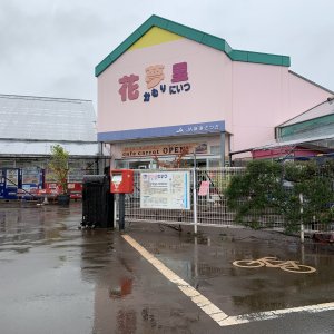 道の駅 花夢里にいつ