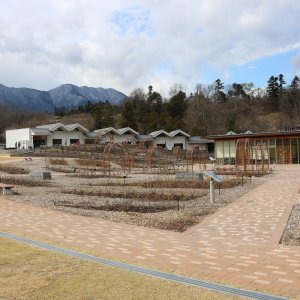 道の駅 みのぶ 富士川観光センター