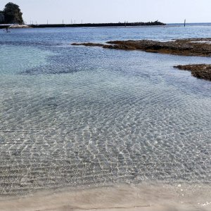 興津港海浜公園