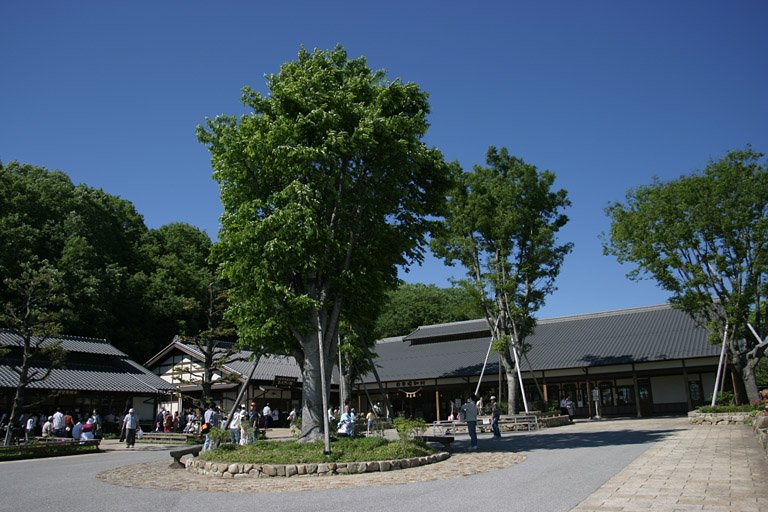 道の駅 日本昭和村