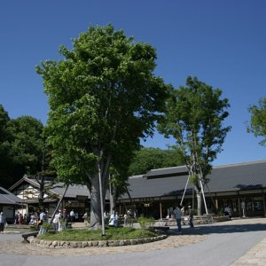道の駅 日本昭和村