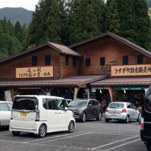 道の駅 うすずみ桜の里・ねお