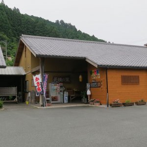 道の駅 天竜相津 花桃の里