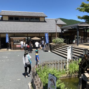 道の駅 どんぐりの里 いなぶ