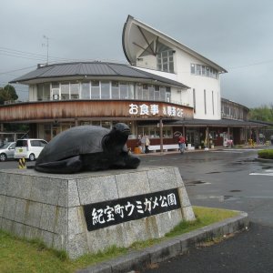 道の駅 紀宝町ウミガメ公園