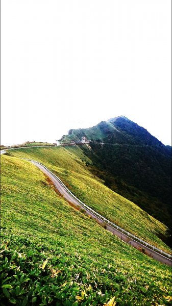 面河渓