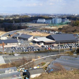 道の駅 愛彩ランド