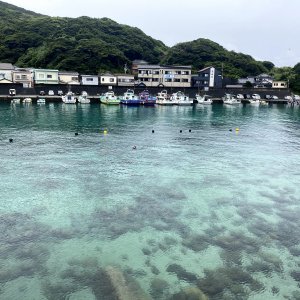 柏島