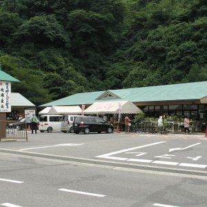 道の駅 根来さくらの里