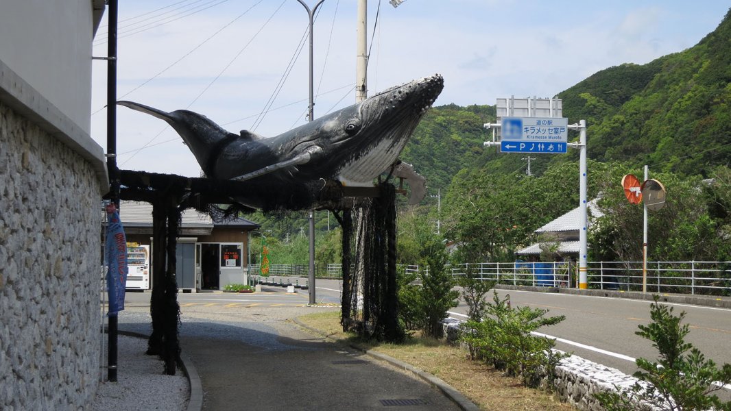 道の駅 キラメッセ室戸