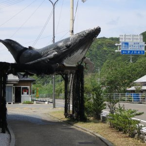 道の駅 キラメッセ室戸