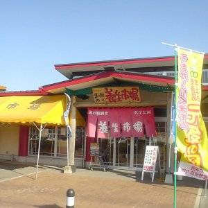 道の駅 泗水