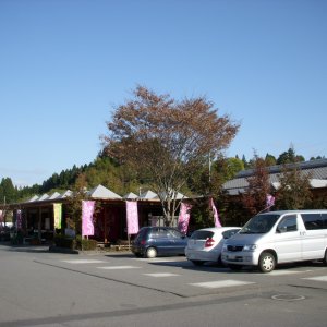 道の駅 きよかわ