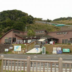 道の駅 根占