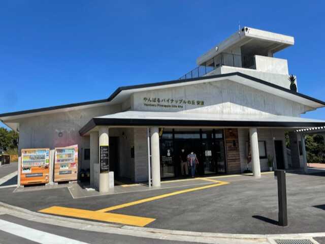 道の駅 やんばるパイナップルの丘 安波