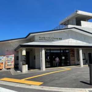 道の駅 やんばるパイナップルの丘 安波
