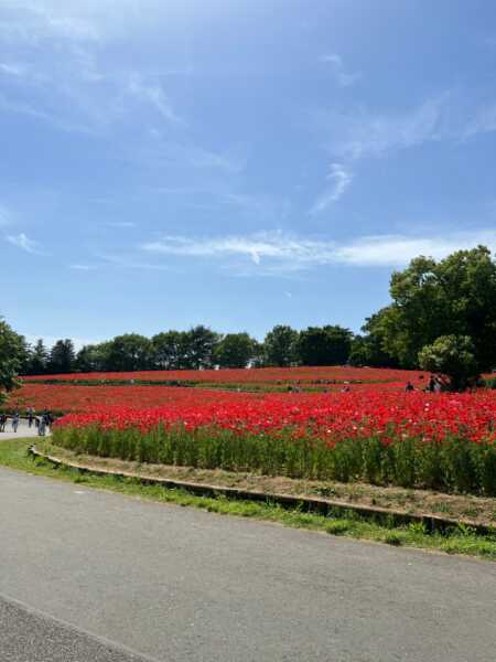昭和公園