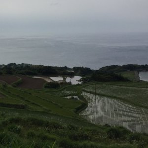 東後畑棚田