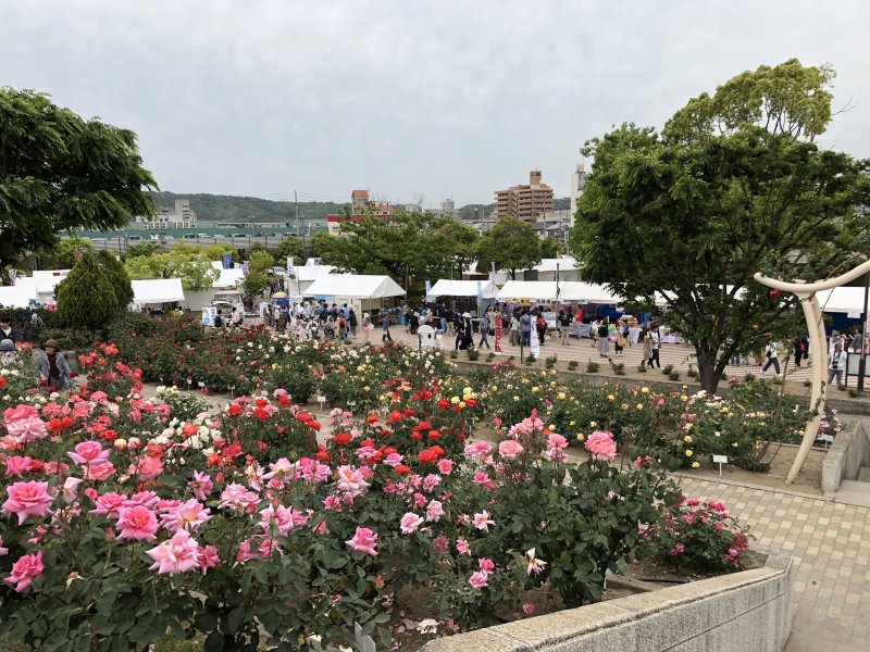 ばら公園