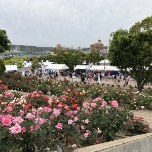 ばら公園