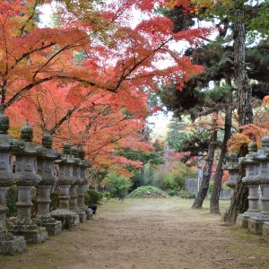 佛通寺