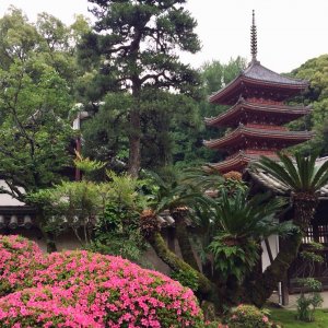 明王院