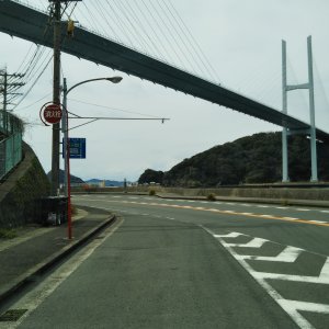 女神大橋