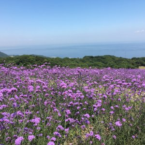 あわじ花さじき