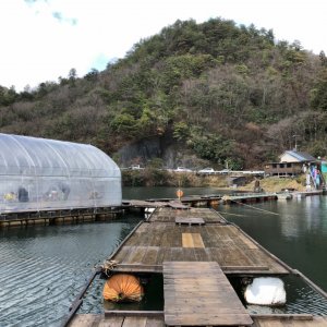 ハイマート佐中