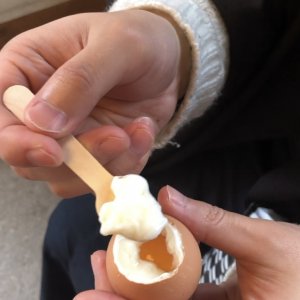 城崎ジェラートカフェchaya