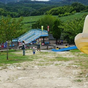 フルーツフラワーパーク