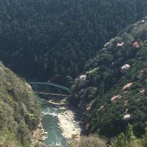 高雄パークウェイ