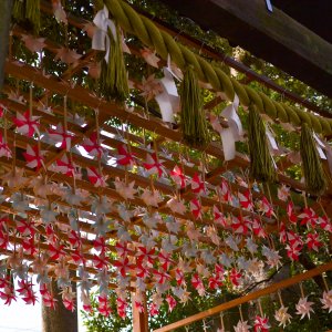 川越氷川神社
