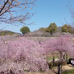 常陸風土記の丘