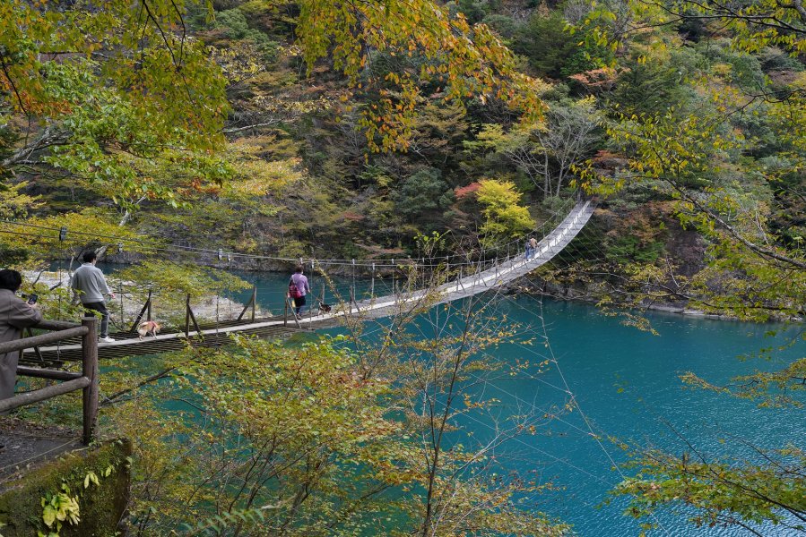 寸又峡