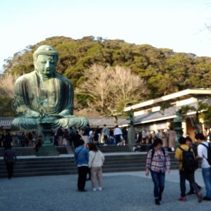 鎌倉大仏殿高徳院