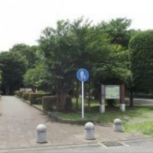 相模原自然の村