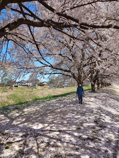 越路河川公園