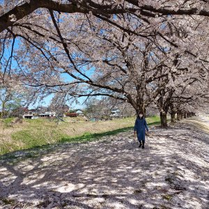 越路河川公園