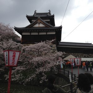 郡山城跡