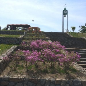 旭山記念公園