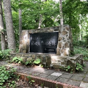 野幌森林公園
