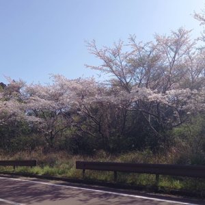 唐八景公園