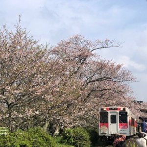 浦ノ崎駅