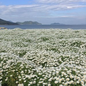 フラワーパーク浦島