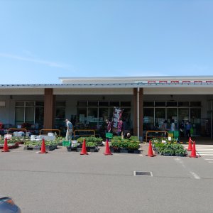 あぐれっしゅ元気村